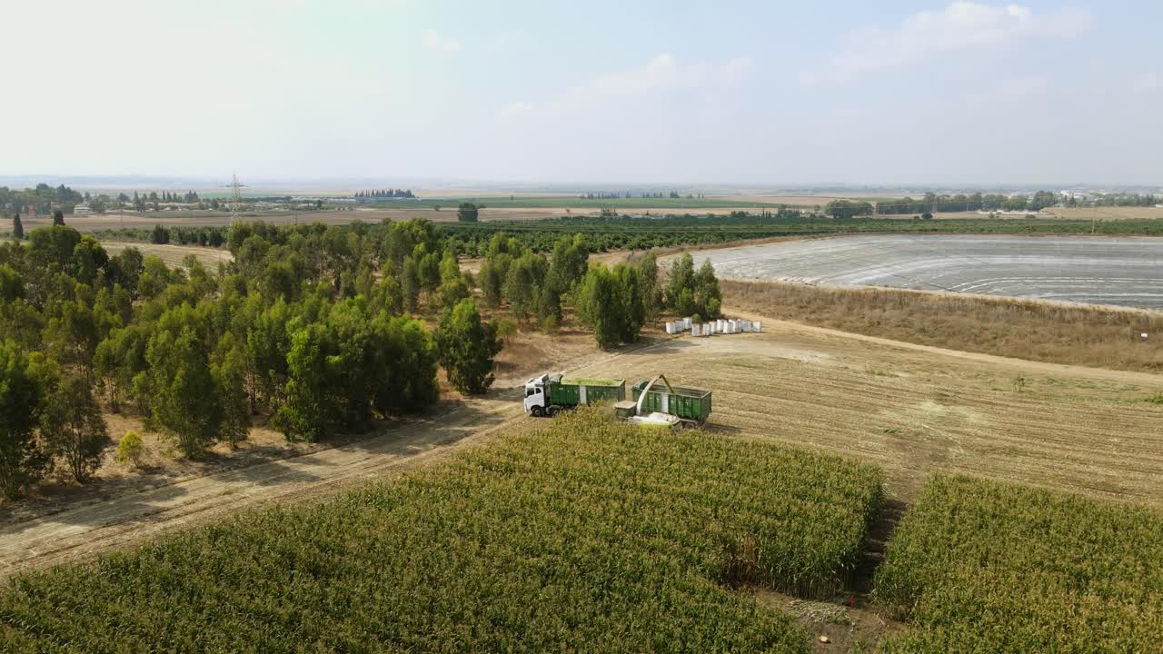 кукурузный урожай - беспилотный снимок комбайна, собирающего кукурузу и наливающего ее в грузовик, движущийся рядом с ней. на заднем плане - сельскохозяйственные поля, водохранилище для орошения.