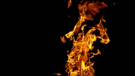 burning fire. fire flames on black background. slow motion