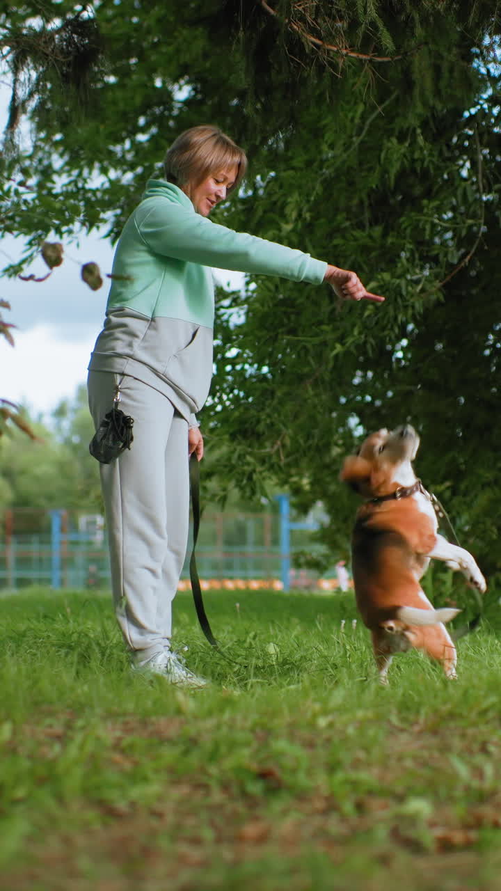 Mujer enseñando a un beagle a saltar y quedarse quieto con indicaciones señalando en un parque, salto enérgico por una golosina, control de la correa durante una práctica de comandos dinámica, energía lúdica, claro brillante bajo un árbol grande, entrenadora concentrada