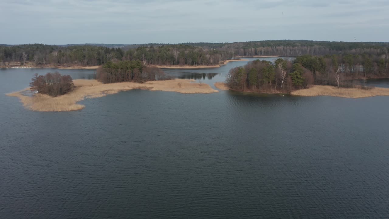 аэрофотосъемка: изолированные маленькие острова в озере с развевающимися на ветру камышами и лесом на заднем плане