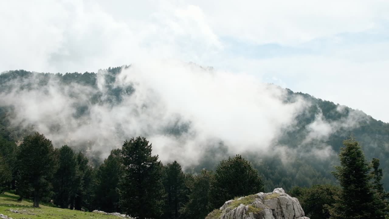 nubes blancas moviéndose sobre el exuberante bosque de pinos en la montaña - toma completa en cámara lenta