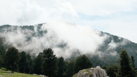 white clouds moving over the lush pine forest in the mountain - full slowmo shot