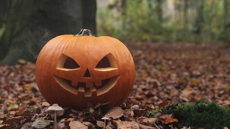 A creepy glowing jack-o-lantern with smoke rising in an autumn forest is the perfect spooky Halloween scene