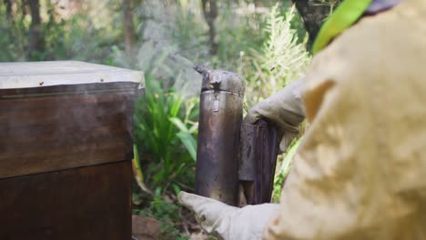 caucasian male beekeeper in protective clothing using smoker to calm bees in a beehive