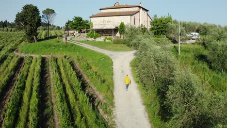 vine makery in tuscany, man walking by the vineyard