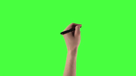 pack of 8 man hand writes and draws with pen on green screen background with chroma key