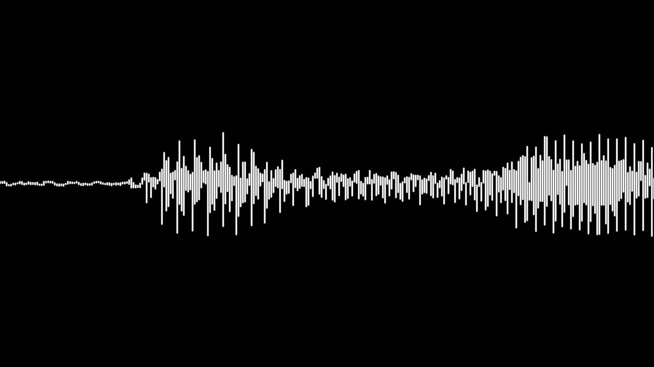 A simple black and white audio visualization effect