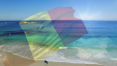 digital composition of waving belgium flag against aerial view of the beach and sea waves