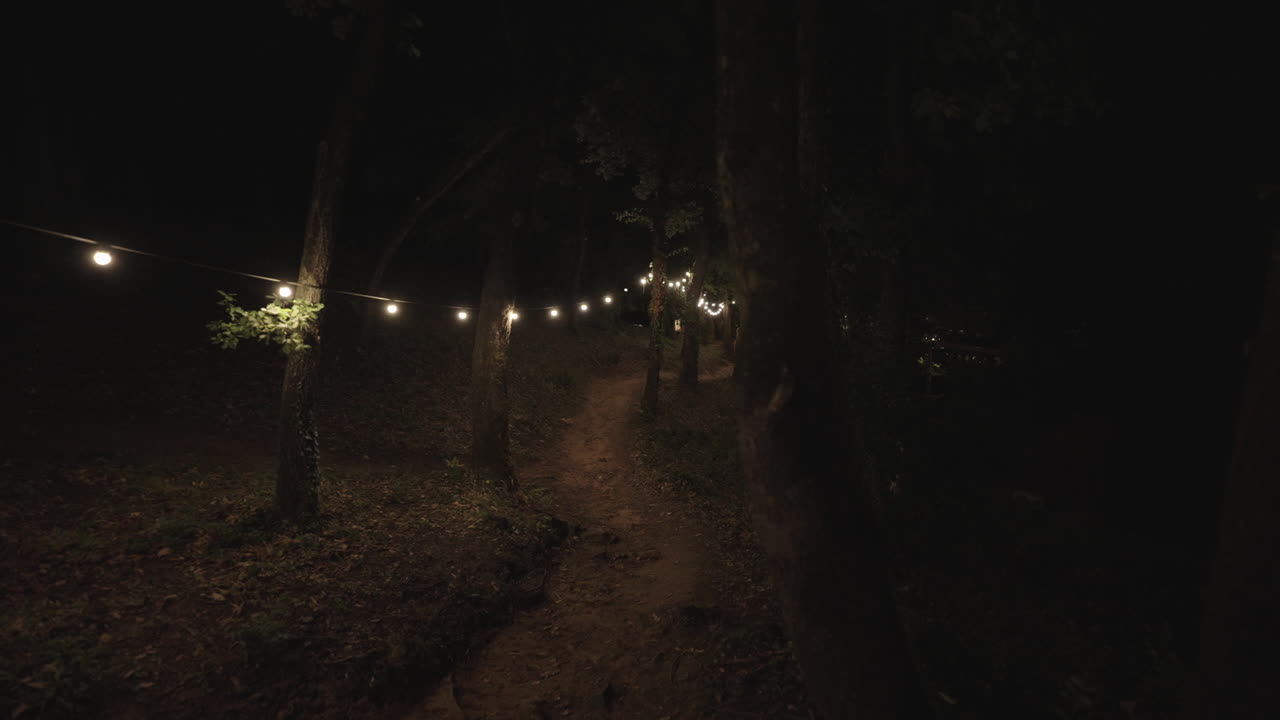 A Nighttime Path Through the Woods