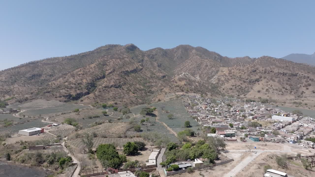 Fields of blue agave for tequila production, residential buildings, rugged mountains, Amatitan town, Drone shot
