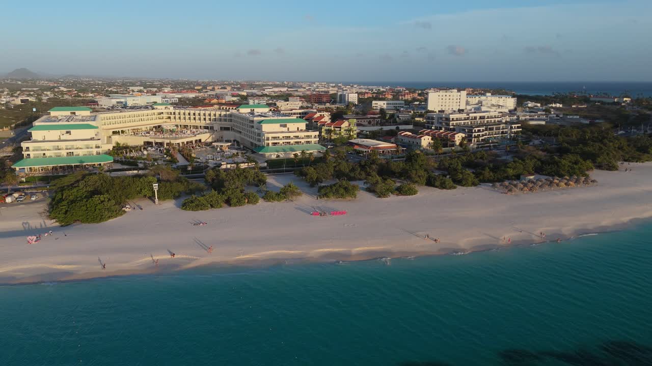 Turquoise waters and a Fofoti tree on the shores of Eagle Beach, Aruba