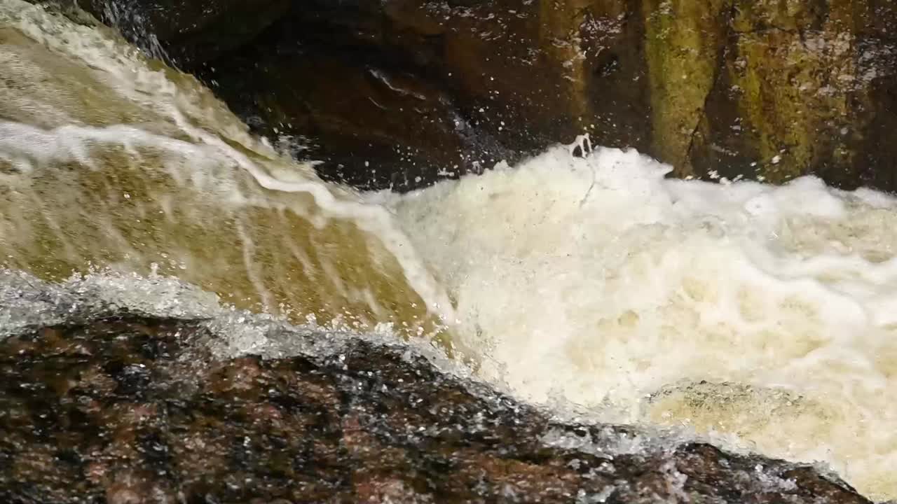 Slow motion shot of dirty water in nature crashing down a stream and salmon jumping out,close up top view