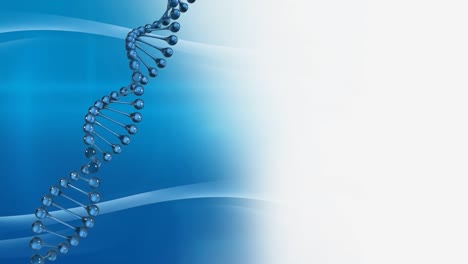 animación de la cadena de adn girando sobre un fondo azul y blanco