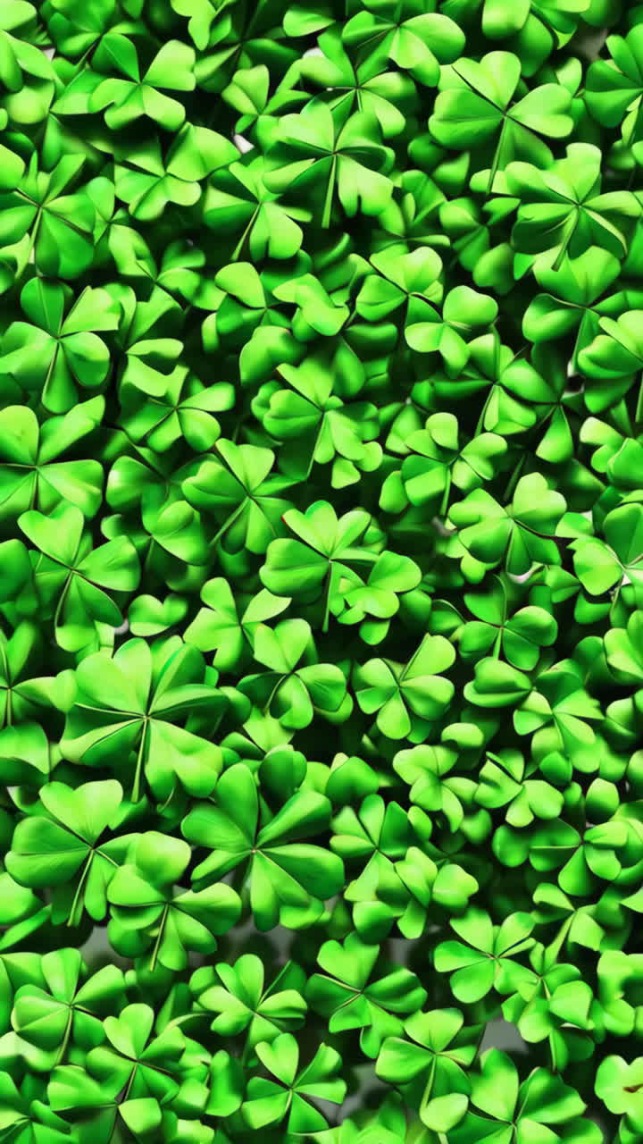 A field of lucky four-leaf clovers