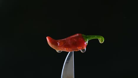 검은색 배경으로 물방울이 흘러내리는 칼끝에 있는 작은 은 칠리의 클로즈업