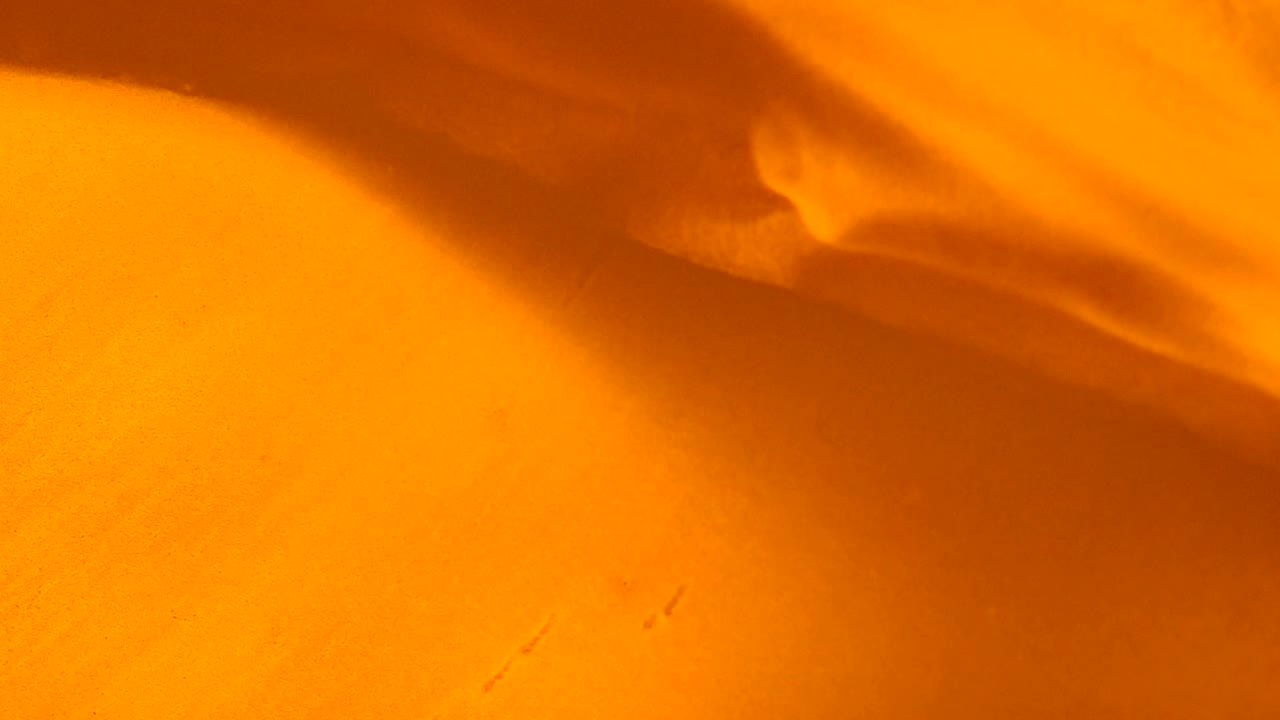 Planet Dune, Expedition FJ36 , Hour 287 , Earth Year 2483 -  an all natural AbstractVideoClip