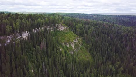 aerial view of a mountainous forest