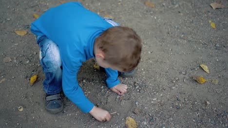 little boy lays a picture of stones