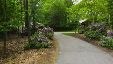 Vorwärtsschub-Mit-Blühenden-Rhododendren