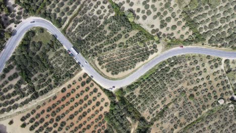 Static-shot-overhead-a-road-threough-the-Alpilles-Regional-National-Park