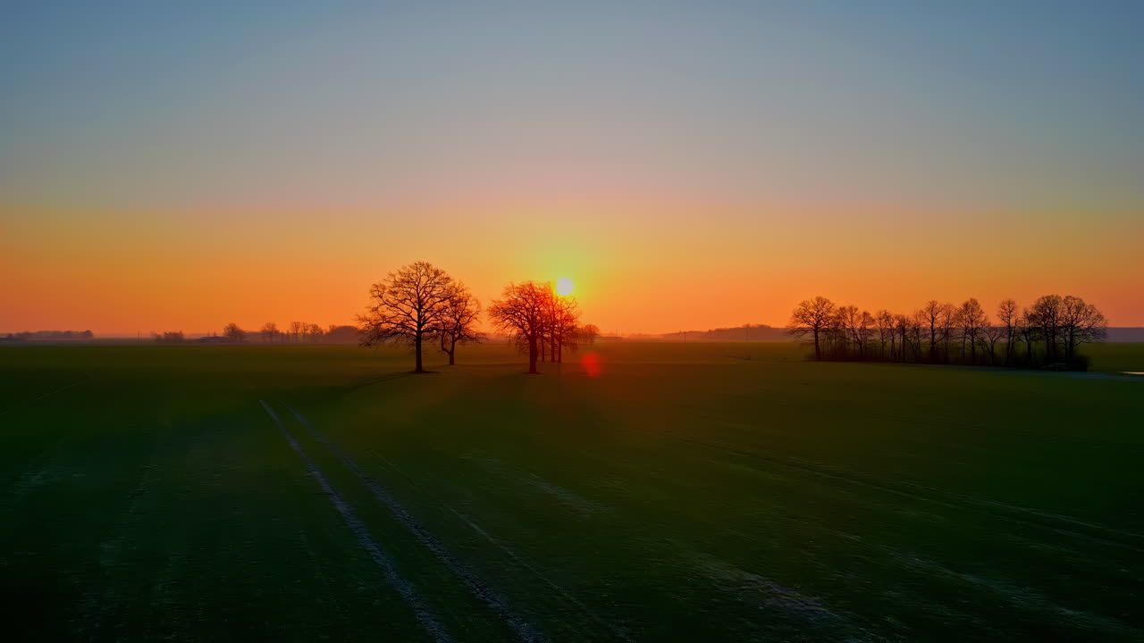 Smooth pan showing glowing sunrise or sunset over the horizon with trees on a dark land silhouette