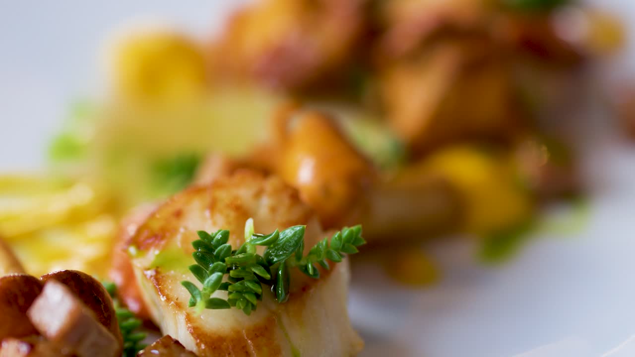 Close-up of seared scallops garnished with fresh herbs and seaweed, plated with vegetables in a bright, upscale restaurant setting. Shallow depth of field, smooth camera movement