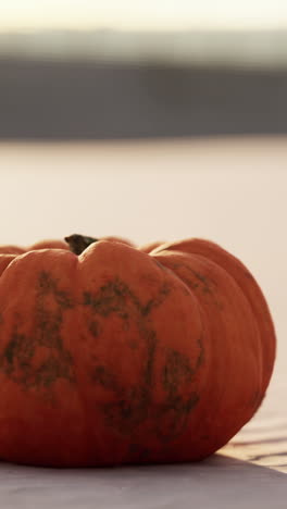 calabaza naranja