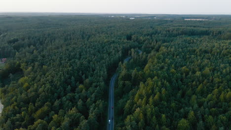 órbita aérea sobre el hermoso transporte por carretera a través del remoto bosque de coníferas