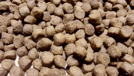 dry dog or cat food rotate on table.