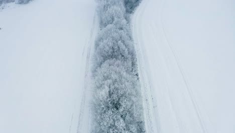 aerial view of frost covered treetops in ditch trench near field during winter