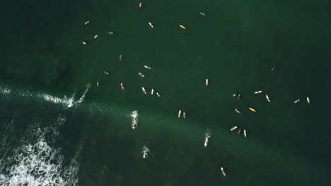 Surfers-float-and-catch-waves-at-Pantai-Batu-Bolong-Beach-Canggu-Bali-Indonesia,-aerial-top-down-rising