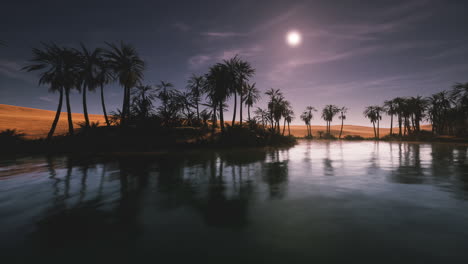 tranquil desert oasis under moonlight with silhouetted palm trees and water