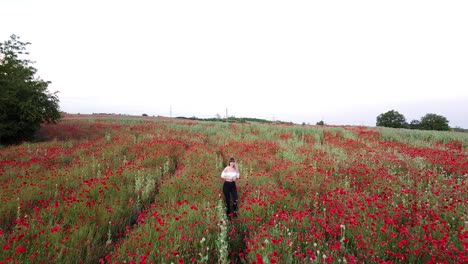 aerial view of a young woman collecting flowers at a poppy field