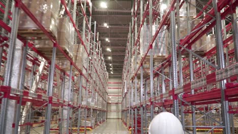 warehouse worker inspecting inventory