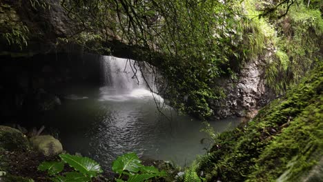 Blick-Auf-Den-Wasserfall-Und-Die-Umgebende-Vegetation-Und-Felsen-Von-Außerhalb-Der-Höhle,-Natürliche-Brücke,-Springbrook-Nationalpark