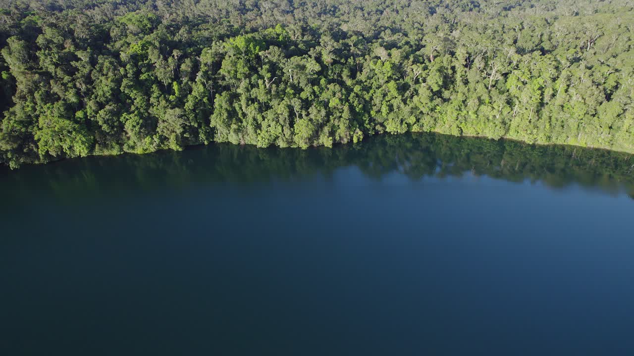 호주 퀸즐랜드주 애서튼 테이블랜드에 있는 호수 각샘의 고요한 물에 반사되는 울창한 열대우림 - 공중 촬영