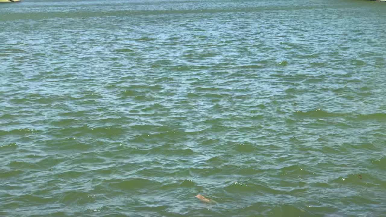화창한 여름날 바람에 물결치는 호수 석호 수면의 전체 프레임 잠금 샷, 녹색 청록색 그라데이션 색상과 태양 반사가 있는 깨끗한 물