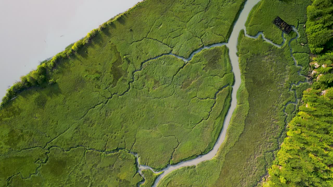 스 ⁇ 미시 강의 지류 수로의 위에서 아래로, 캐나다의 스 ⁇ 미시