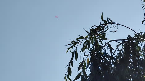 Una-Cometa-Vuela-En-El-Cielo