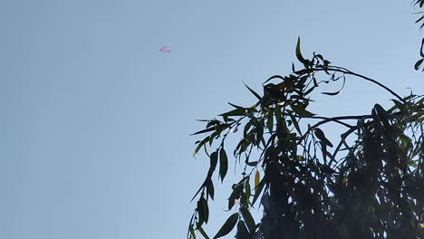 una cometa vuela en el cielo