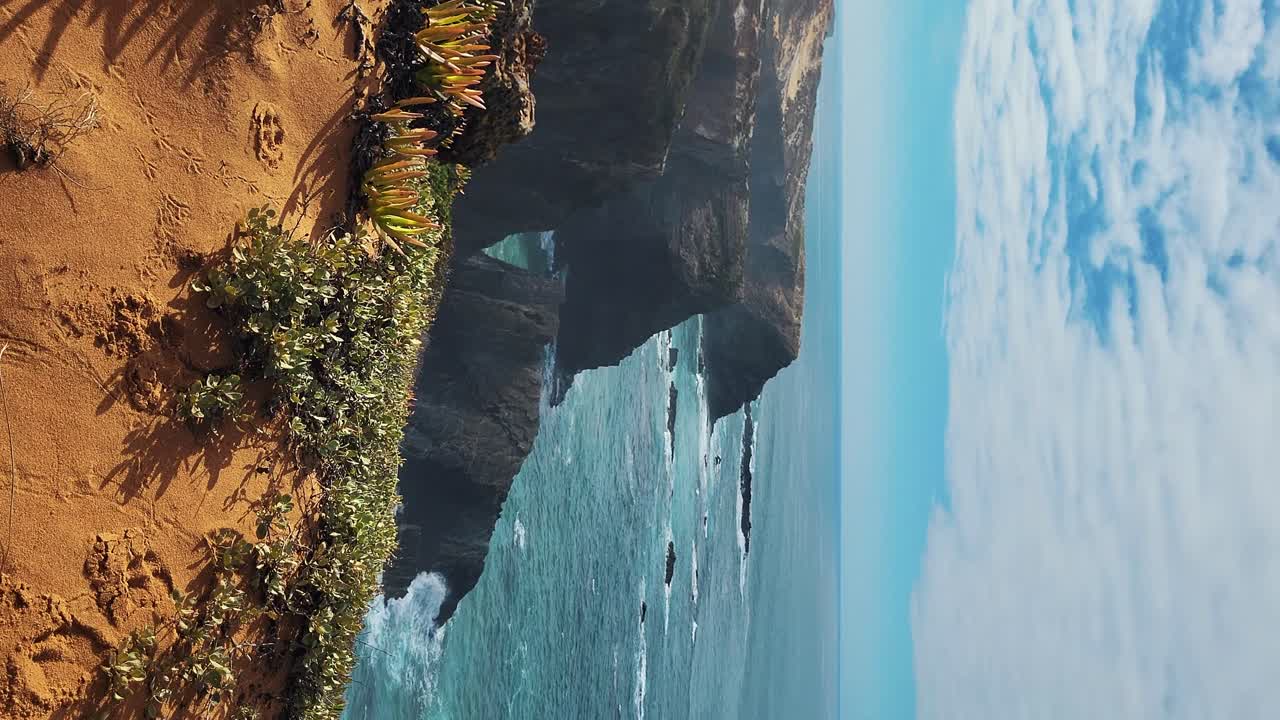 zambujeira do mar sobre la orilla del mar con olas del océano, acantilados y dunas de arena cubiertas de vegetación verde hojas rojas de higo agrio, día soleado, cielo azul claro