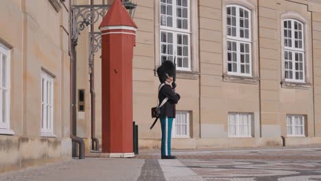 royal guard at the palace in copenhagen, denmark