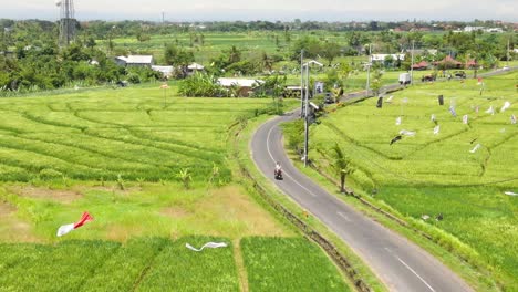 Clip-Aéreo-De-Un-Camino-Estrecho-Y-Sinuoso-Con-Vehículos-Que-Se-Mueven-Junto-A-Los-Campos-De-Arroz-En-Canggu-Bali