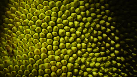 Macro-view-of-jack-fruit-peel-on-black-background