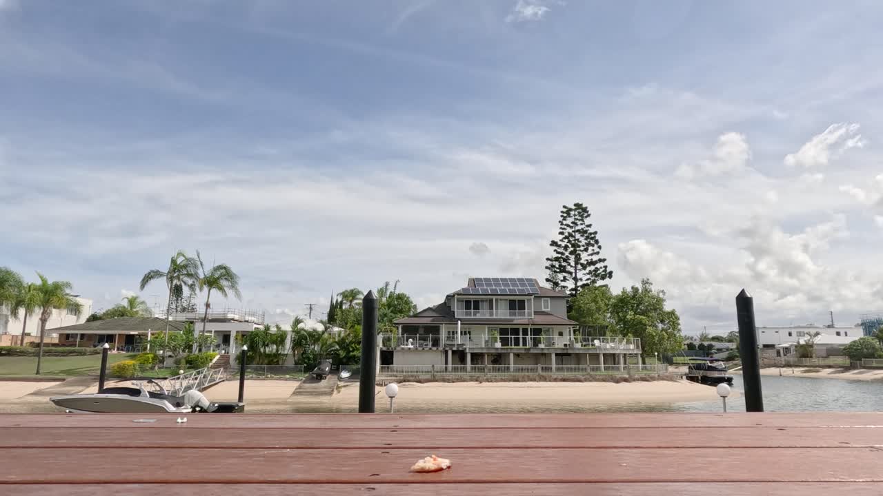 el pájaro come e interactúa en un muelle soleado.