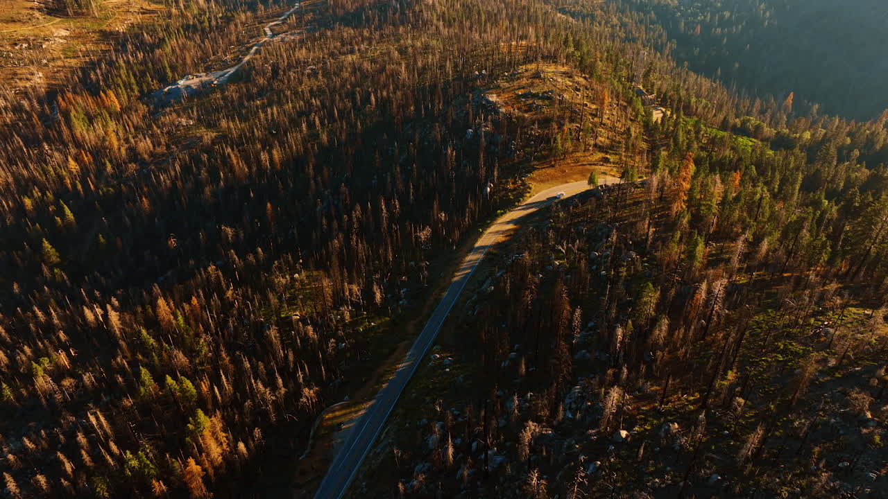 Mountainous landscape with wavy highway going through. Sunlit pine trees in Sierra National Forest, California, USA. Top view.