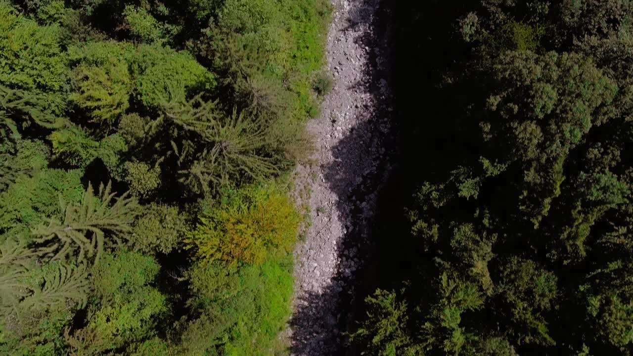 vuelo aéreo sobre un arroyo entre el bosque