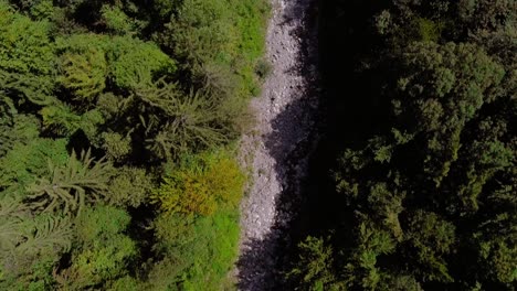 Vuelo-Aéreo-Sobre-Un-Arroyo-Entre-El-Bosque