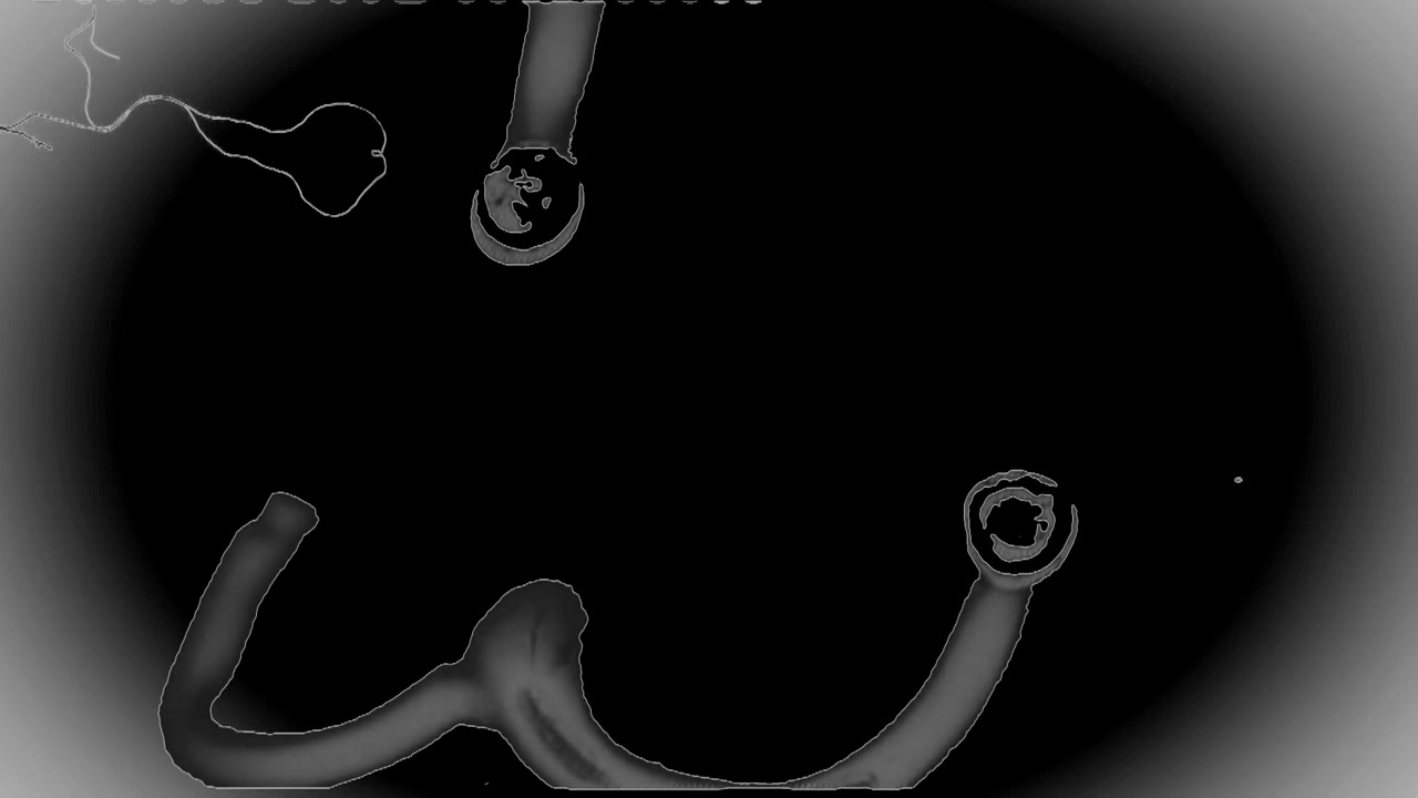 Animazione di forme astratte in bianco e nero con linee dinamiche