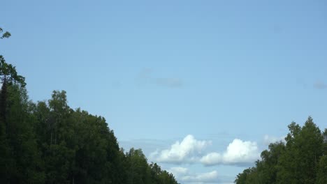 Durch-Einen-Dichten-Wald-Fahren